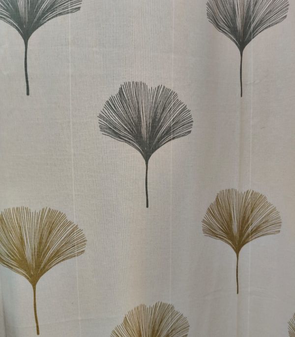 WhatsApp Image 2026-01-24 at 11.19.35 AM