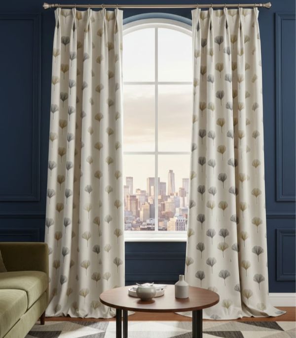 WhatsApp Image 2026-01-24 at 11.20.14 AM